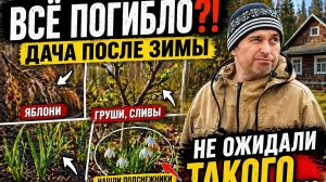Что стало с садом после зимы? 😱 Обзор дачи и находка в лесу