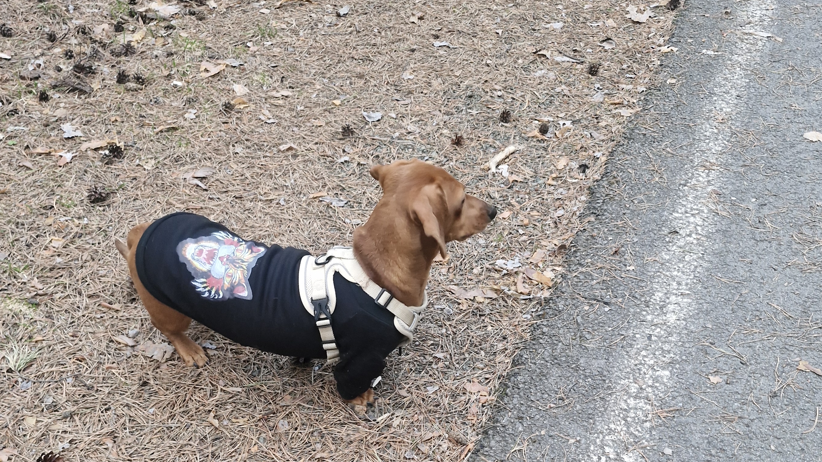 Гуляем на природе