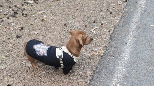 Гуляем на природе