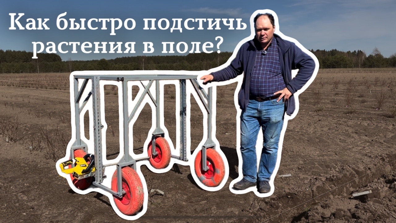 Как быстро подстричь растения в грунте