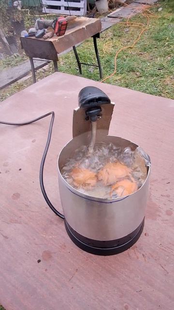 Самоделка Яйцаварилка своими руками #diy #полезныесоветы #хитрости #врек #shorts