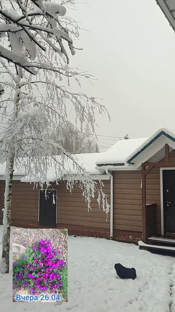 дуплекс весны и зимы -последний выход