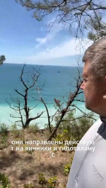 Выход из 3-х часов. День 118