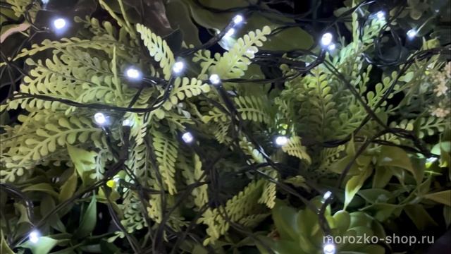 Гирлянда на солнечной батарее Solar ДЮСОЛЕЙ, 100 холодных белых LED-огней, 10 м, CZ6540090