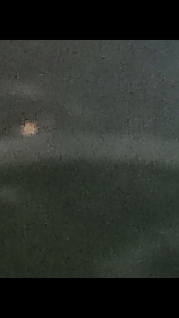 волшебный самогон трейлер