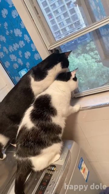 Они всегда в центре событий