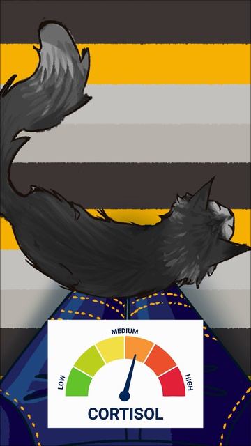 low cortisol cat  новое видео на канале art trending drawing oc арт fyp