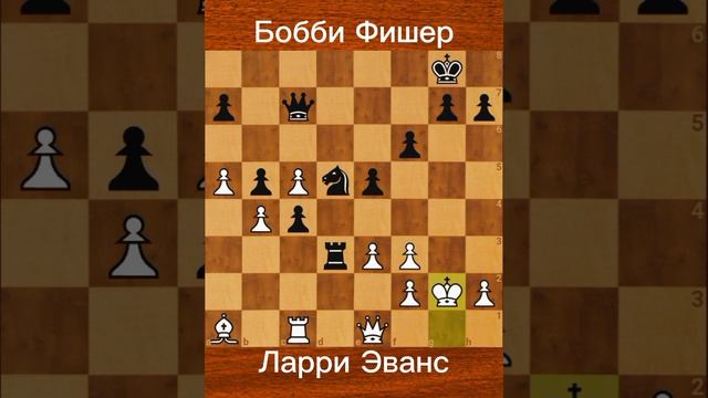 Бобби Фишер vs. Ларри Эванс (1965) — Победа в 3-м туре Чемпионата США
