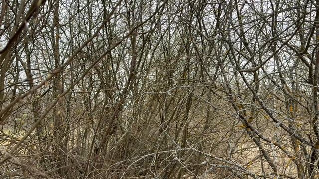 рп им Цюрупы, ул Левычинская