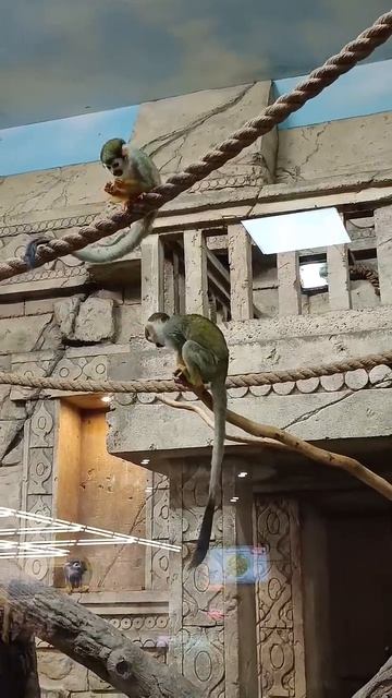 Пришла в магазин автозапчастей и забыла зачем пришла))