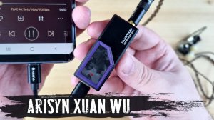 Обзор ЦАПа Arisyn Xuan Wu: детализация и масштаб