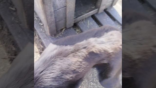 22.04.2026г будни