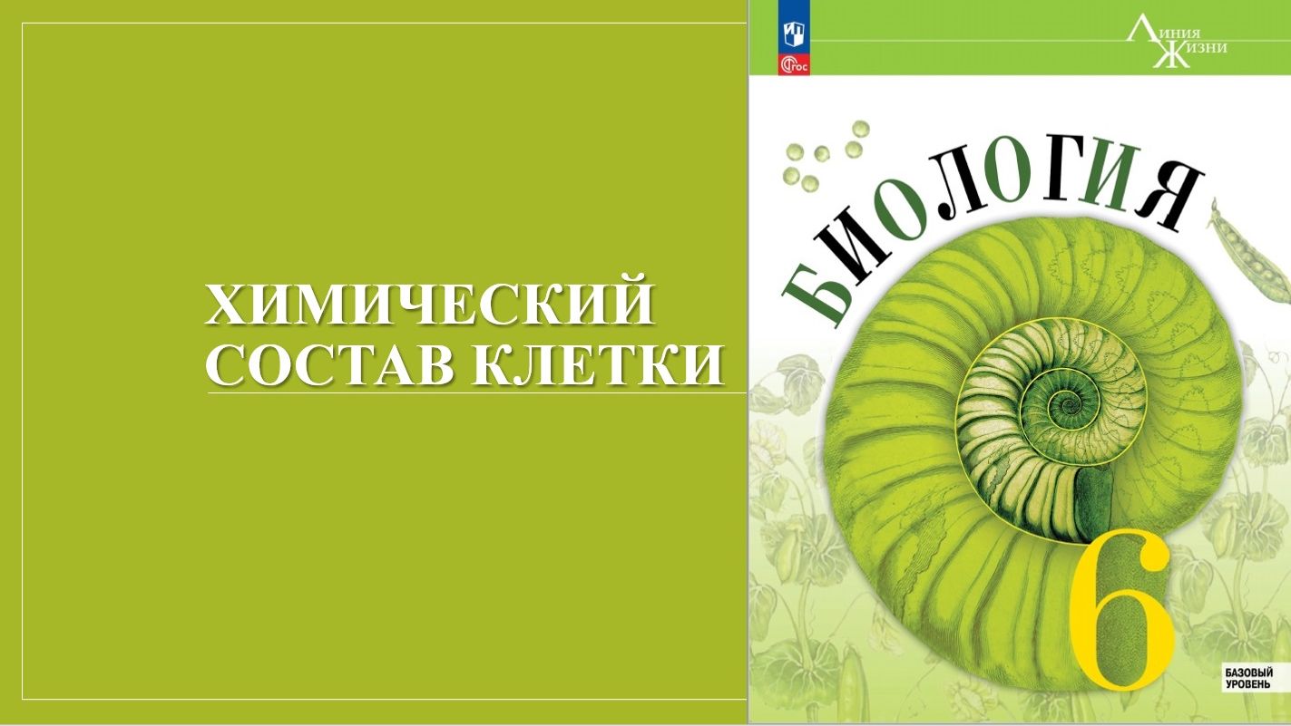 Урок 5. Химический состав клетки