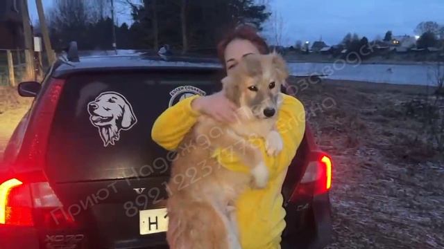 Лева поехал в СПБ ремонтировать лапку