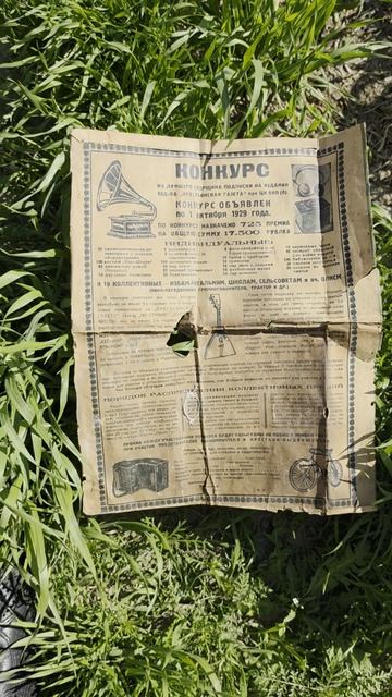 Чудеса рядом