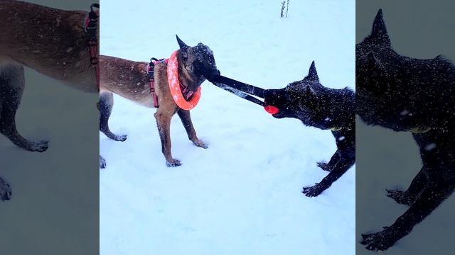 YouCut_20240523_124206460[1]