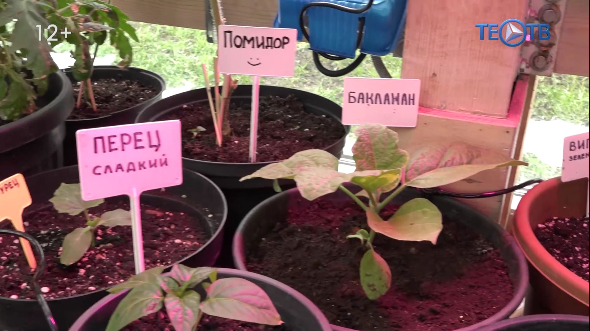 Чемпионат урожая «Битва гигантов»: первый шаг сделан!