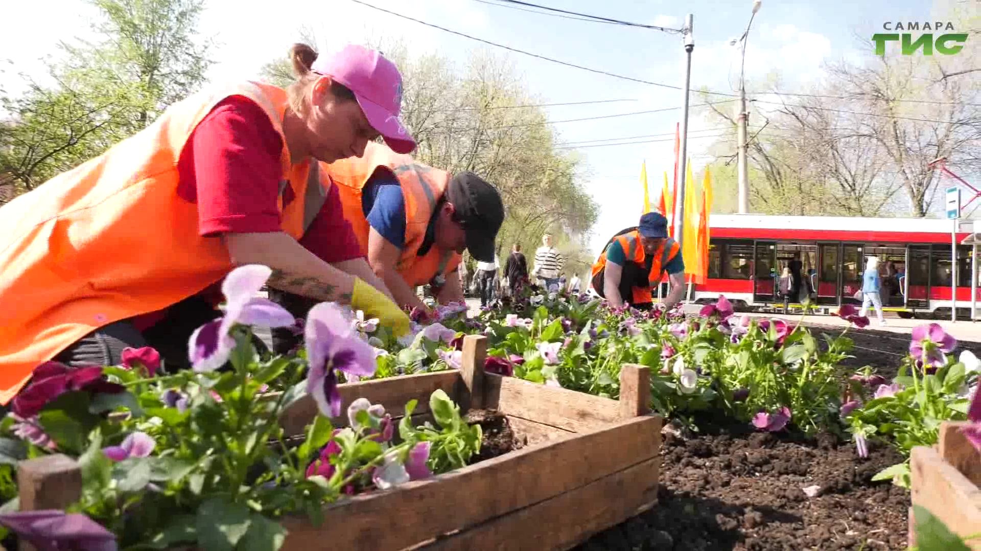 Проведение акции 