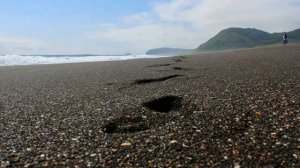 Про Камчатку