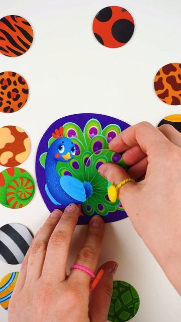 Изучаем Животных