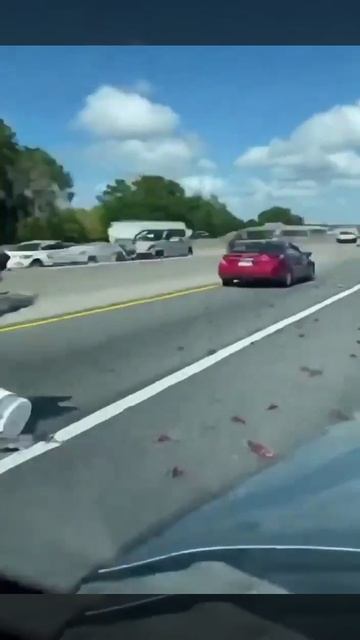 В США раки расползлись по дороге после ДТП