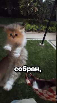 Урожай собран