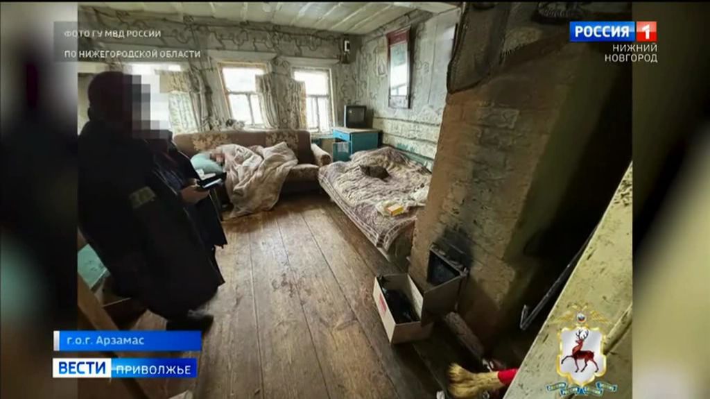 Дерзкое нападение на пенсионерку раскрыли полицейские в Арзамасском районе