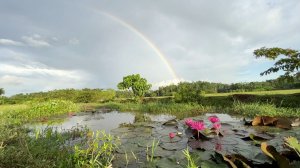 Любовь - основа мироздания