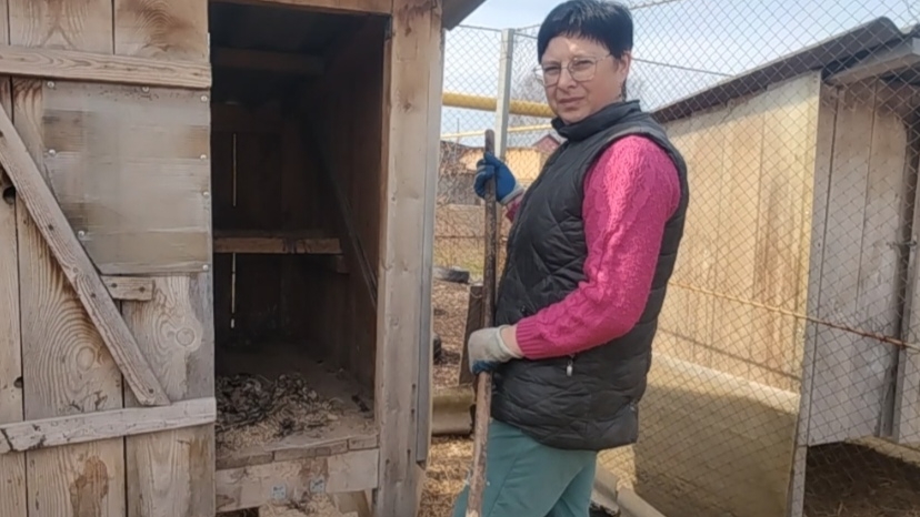 29-04-2026  Развлекаюсь  деревенская жизнь  куры  цыплята.