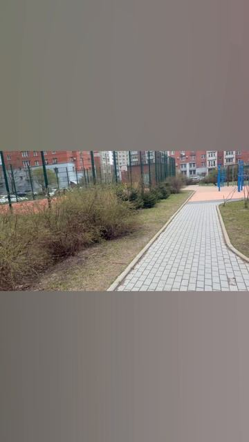 СПб апрель.