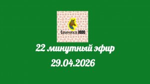 22 минутный эфир (Свиняха 3000 ТВ, 29.04.2026)