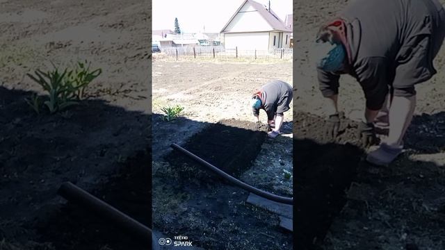 Огородные дела 