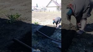 Огородные дела 🤗
