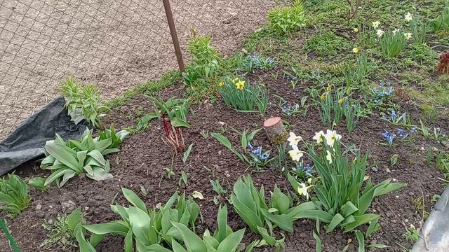 САД 29  АПРЕЛЯ.