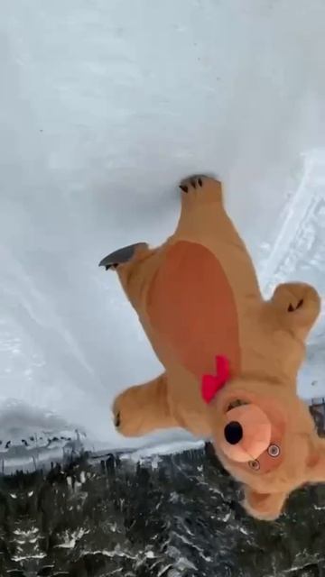 БУРЫЙ МИШКА АЛТЫН 🐻 мечтает стать главным сюрпризом вашего праздника