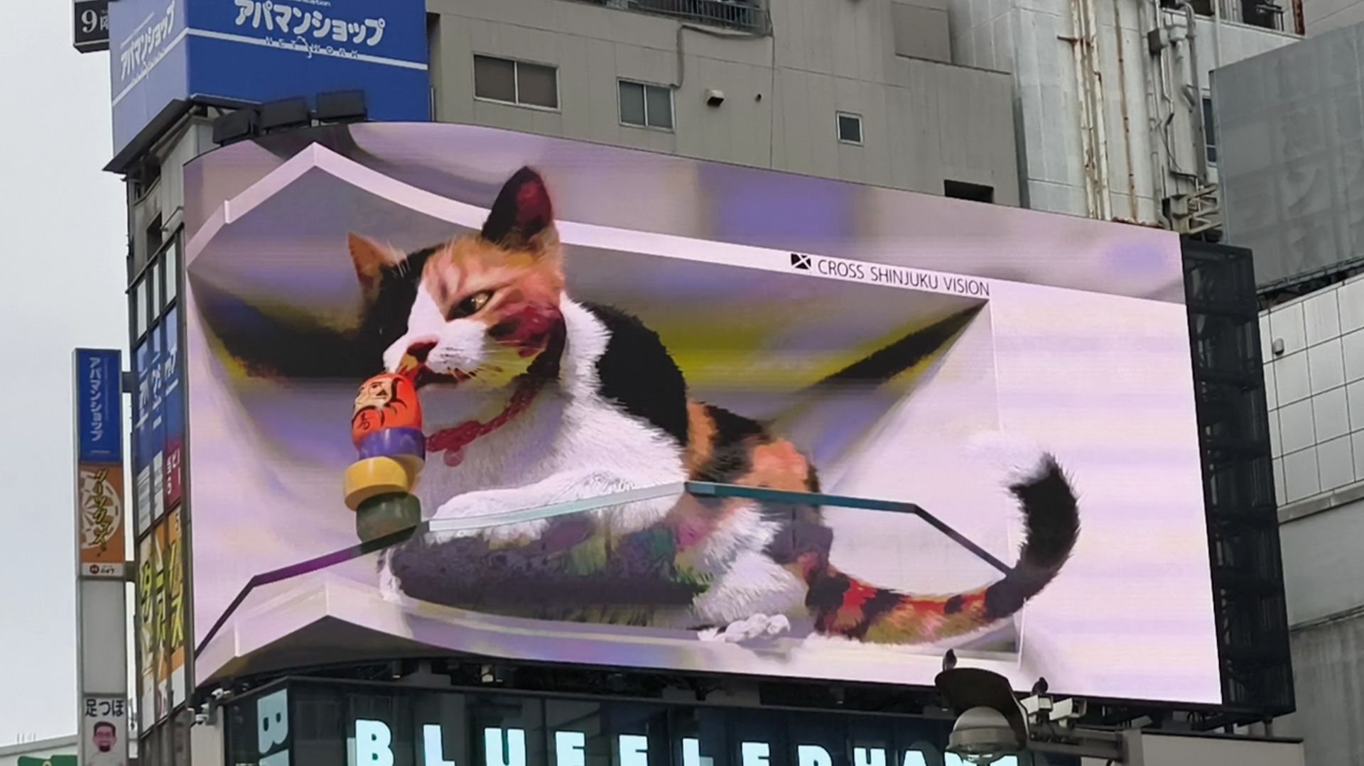 Япония. Знаменитая кошка на 3D экране в Токио