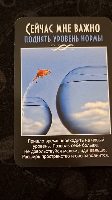 КАРТА ДНЯ НА 29.04.26