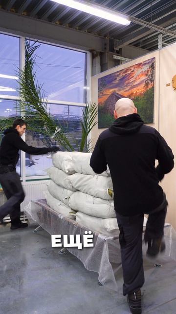 КАК СЛОМАТЬ РАСКЛАДУШКУ БЕРЕГ?