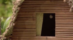 Макет Берега Маклая (Папуа — Новая Гвинея)