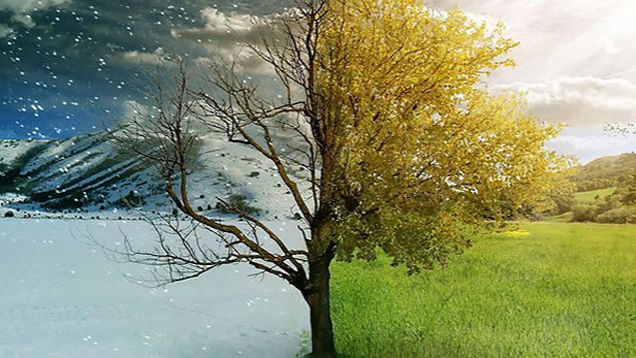 SHEMI – Лето и зимой!