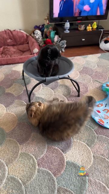 А что выбираете вы?