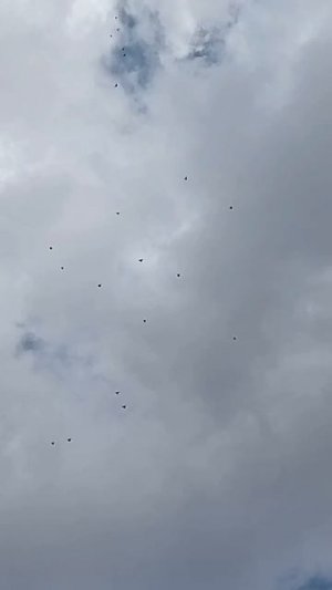 29 апреля