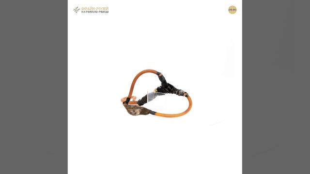 Рогатка Папуа  Новая Гвинея