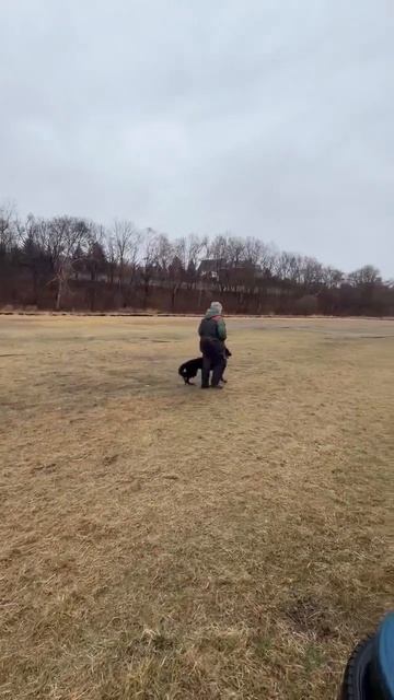 10.  выражено/перв WHITEBRANT HANNA (Sigurd Lihtenshtein-Ost – Harlin Latmon)