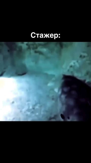 утро Калининград.
#Россия #Калининград #утро #хасанстан#злойпова