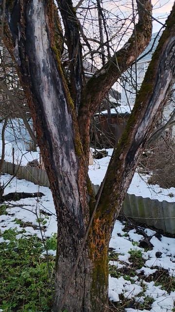 Продажа участка