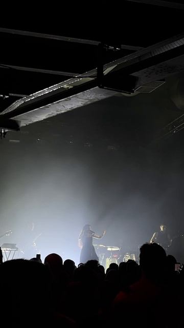 Живая музыка.