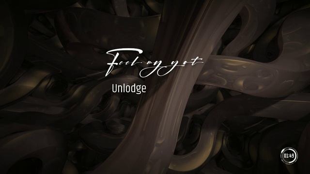 Unlodge - Feel My Got #deep_house #dance