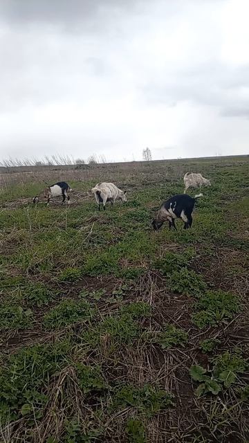 выйду на улицу 