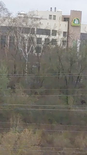 Красивая природа.